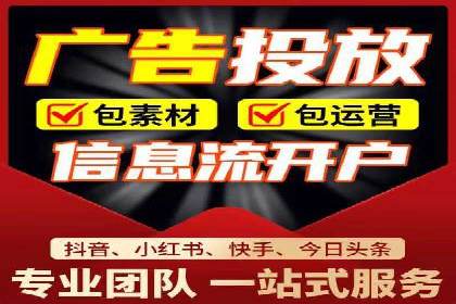 初探SEM推广代运营的多种成功模式